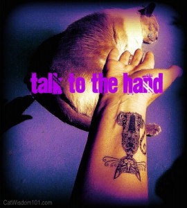 talk to the hand-cat-tattoo-cattoo