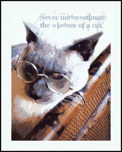 Cat wisdom 101-merlin-quote