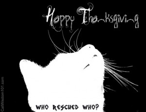 Thanksgiving-card-cat-who rescued who-catwisdom 101-