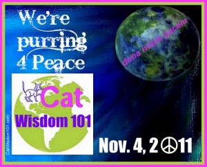 cats blog for peace