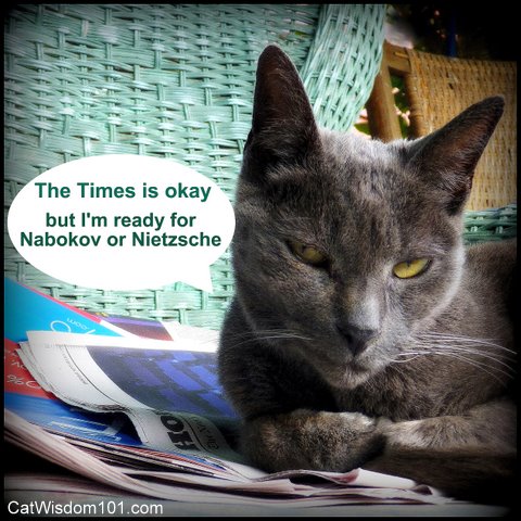 cat-cartoon-cat wisdom 101-literary-nabokov