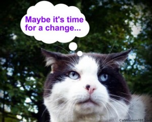 cat-quote-time for change-cat wisdom 101