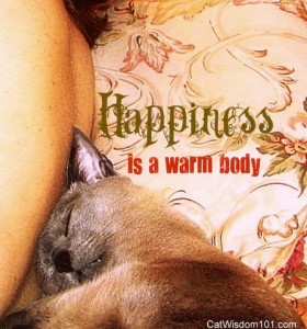 happiness is a warm body-cat wisdom101-cat nap