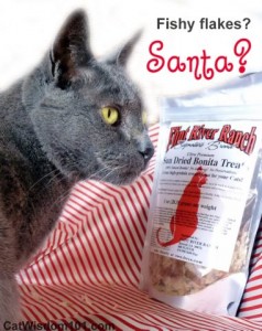 Flint River -Bonita treats-catwisdom 101.com-santa