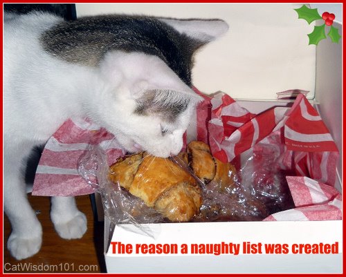 Naughty-kitty-cat-rugelach-odin-kitty-cat-rugelach