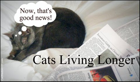 cat-newspaper-living longer-cat wisdom 101.com
