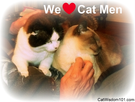 we love cat men- cats-cat wisdom 101