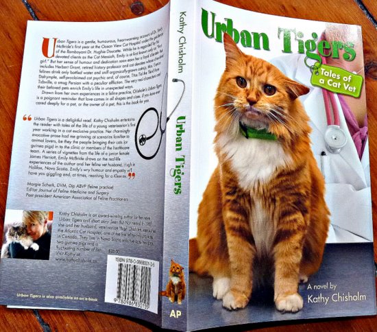 book-review- Urban Tigers- Kathy Chisholm- Cat wisdom 101