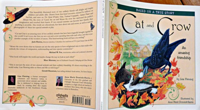 cat and crow-lisa fleming-book review- cat wisdom 101-boomer muse