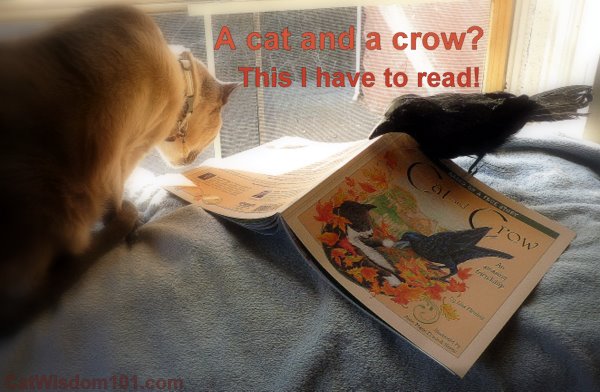 cat and crow-youtube video-book review- cat wisdom 101