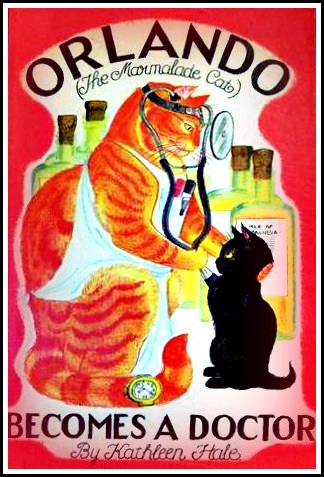 orlando-marmalade cat- becomes a doctor- cat wisdom 101