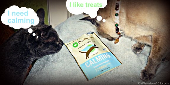 pet naturals-calming- cat wisdom 101-LOL cat