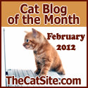 Blog of the month-cat site-cat wisdom 101