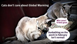 LOL cats-global warming-cat wisdom 101
