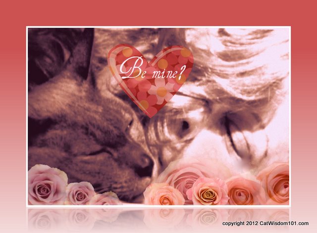 Valentine-merlin-layla Morgan Wilde-cat wisdom 101-be mine