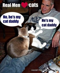 cat daddy-real men love cats-cat wisdom 101-LOL cats