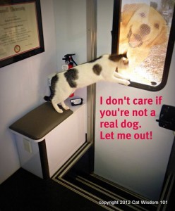 mobile vet squad-dr.richard goldstein-cat-dog-humor-cat wisdom 101