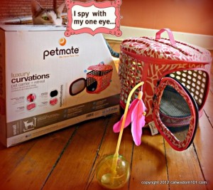 petmate.com-cats-pets- luxury carrier- cat wisdom101.com