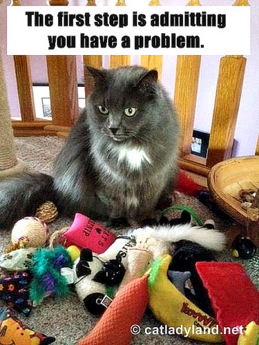 saffy-toys-cats-funny-comic-cat wisdom 101-catladyland