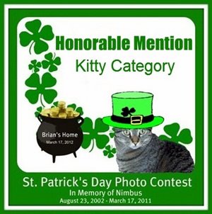 2012-honorable mention-kitty-category-st.patrick's day-photo contest
