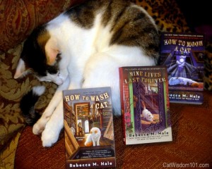 book-review-giveaway-cat-wisdom 101-rebecca m. hale