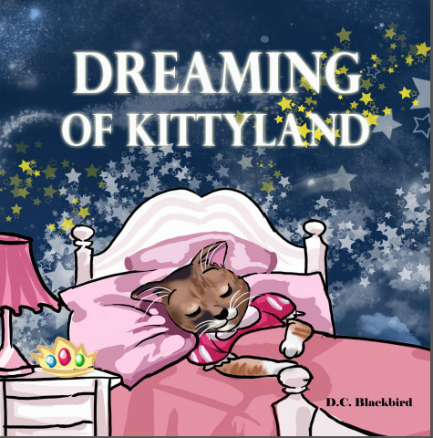dreaming of kittyland