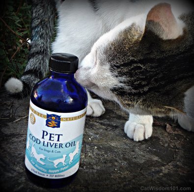 nordic-naturals-cod liver oil-omega 3 -odin cat wisdom 101