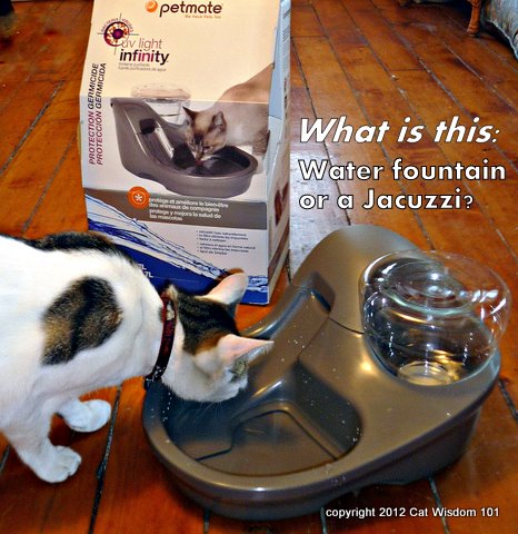 petmate-uv light infinity-water fountain-cat wisdom 101