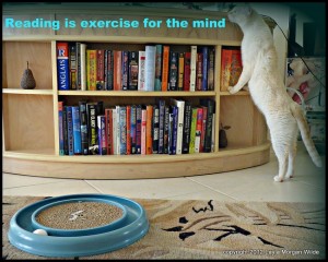 reading-quote-cat-exercise-funny-cat wisdom 101-