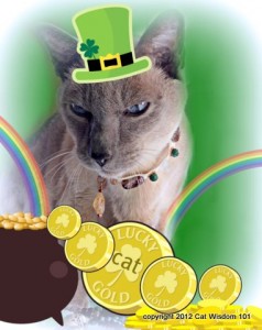 st.patrick's day-cat-catwisdom 101-lucky-gold