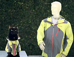 youtube-angry-cat-waterproof-columbia sportswear-funny-viral- cat wisdom 101