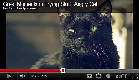 youtube-cat-black-waterproof-columbia sportswear-cat wisdom 101-angry