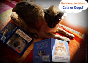 allia-zobel-nolan-cat-dog-book-giveaway-cat wisdom 101