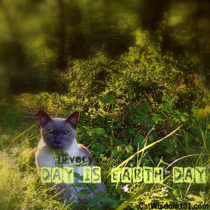 earth-day-cat-garden-green-eco-cat wisdom 101