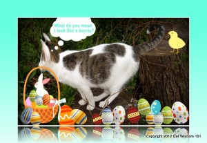easter-lol-cat-bunny-eggs