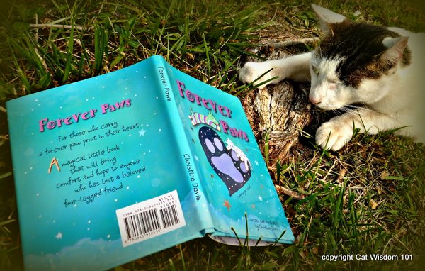 forever paws-davis-cat wisdom 101-book-review