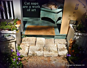 merlin-catnap-quote-art-garden-cat wisdom 101
