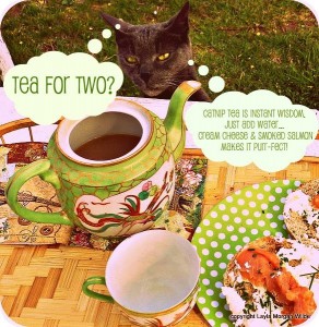 zen-tea-tuesday-cat-smoked salmon-cat wisdom