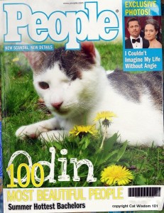 cat-People-magazine-cats-humor-gemini-astrology