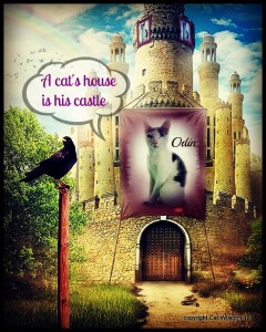 cat's house is his castle-odin-quote-art-cat wisdom 101