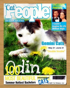 gemini-cats-cat-people-magazine-astrology