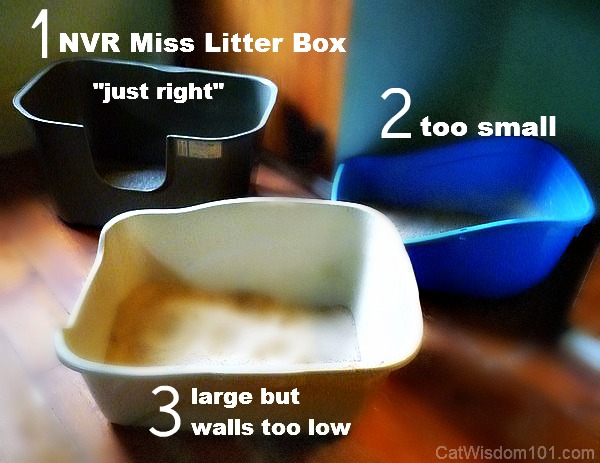 NVR miss litter box-giveaway-best-cat-litter box