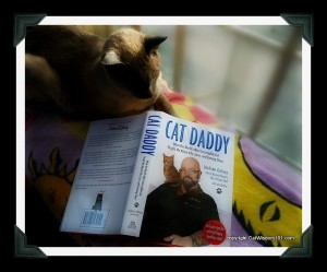 merlin-cat daddy-book-jackson-galaxy-memoir-giveaway-cat