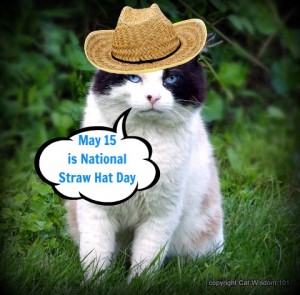cat-national-straw-hat-day-LOL