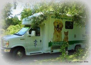 Mobile clinic-Dr. Goldstein-westchester county-NY