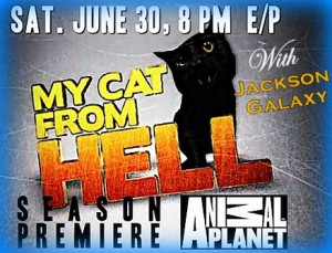 My-cat-from-hell-Jackson-galaxy-MCFH-season 3