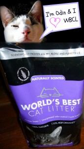 WBCL-cat-odin-Best-giveaway-cat-litter
