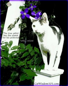 artist-quotes-cat-wisdom-art-planet-pedestal