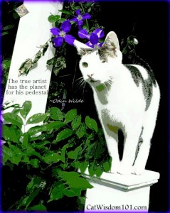 artist-quotes-cat-wisdom-art-planet-pedestal