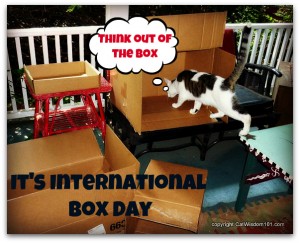 cats-boxes-best-testimonial_ever